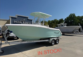 2026 Robalo R222 EX Sea Foam Green Boat